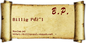 Billig Pál névjegykártya