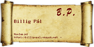 Billig Pál névjegykártya